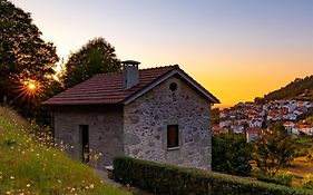 Casas Do Gato